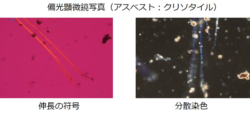 偏光顕微鏡写真