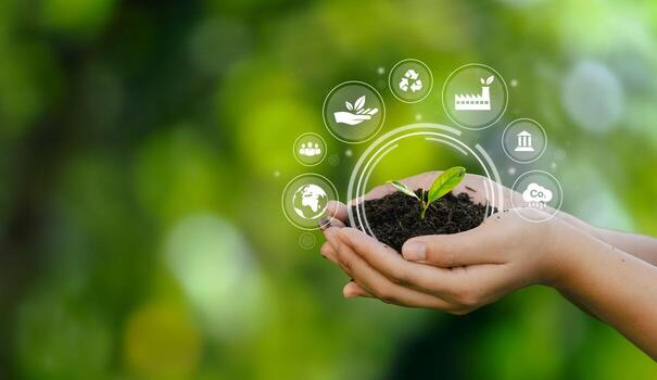 human-hand-holding-green-environmental-tree-esg-icon-society-and-governance-sustainable-environmental-concept-of-the-world-photo