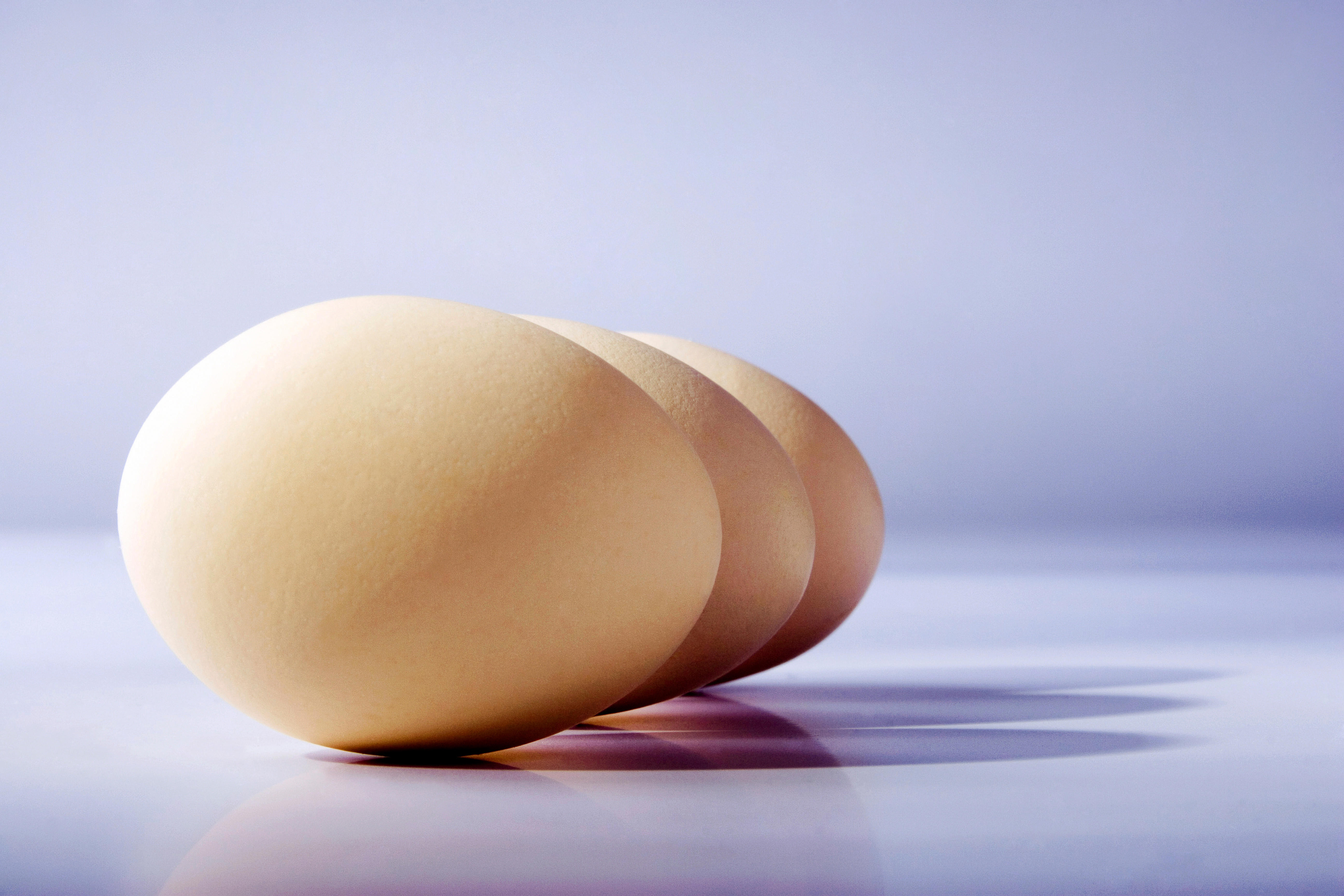 row-of-eggs-card