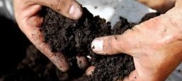 agro-compost-hands