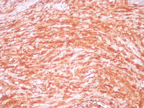 c059a