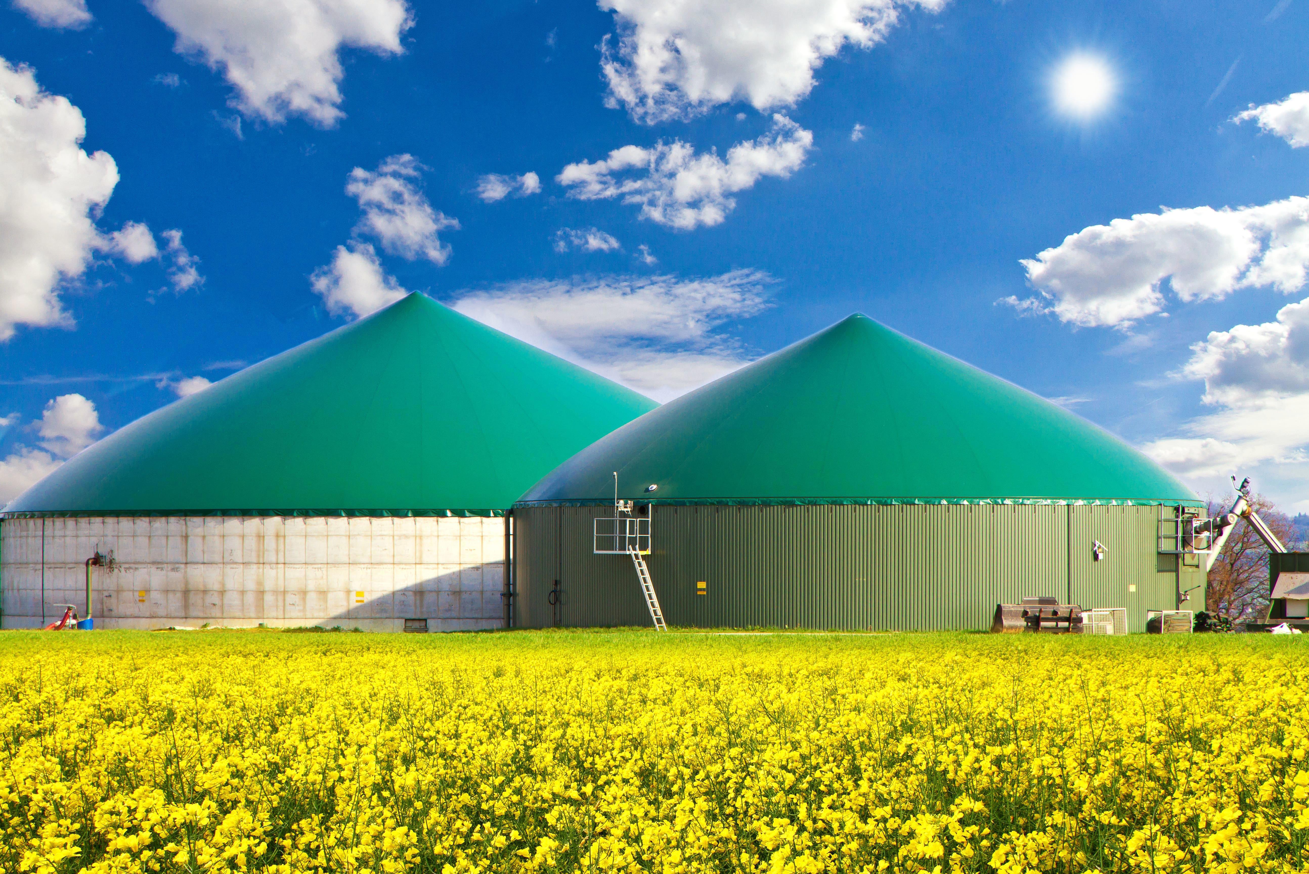 agro-biogasinstallation-rape-seed-field