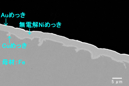 めっき膜断面のSEM観察