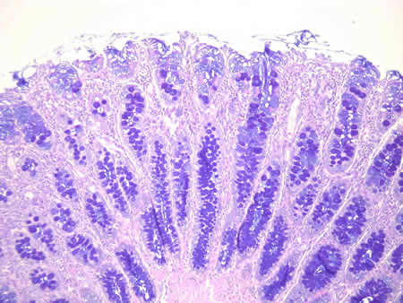 c013i