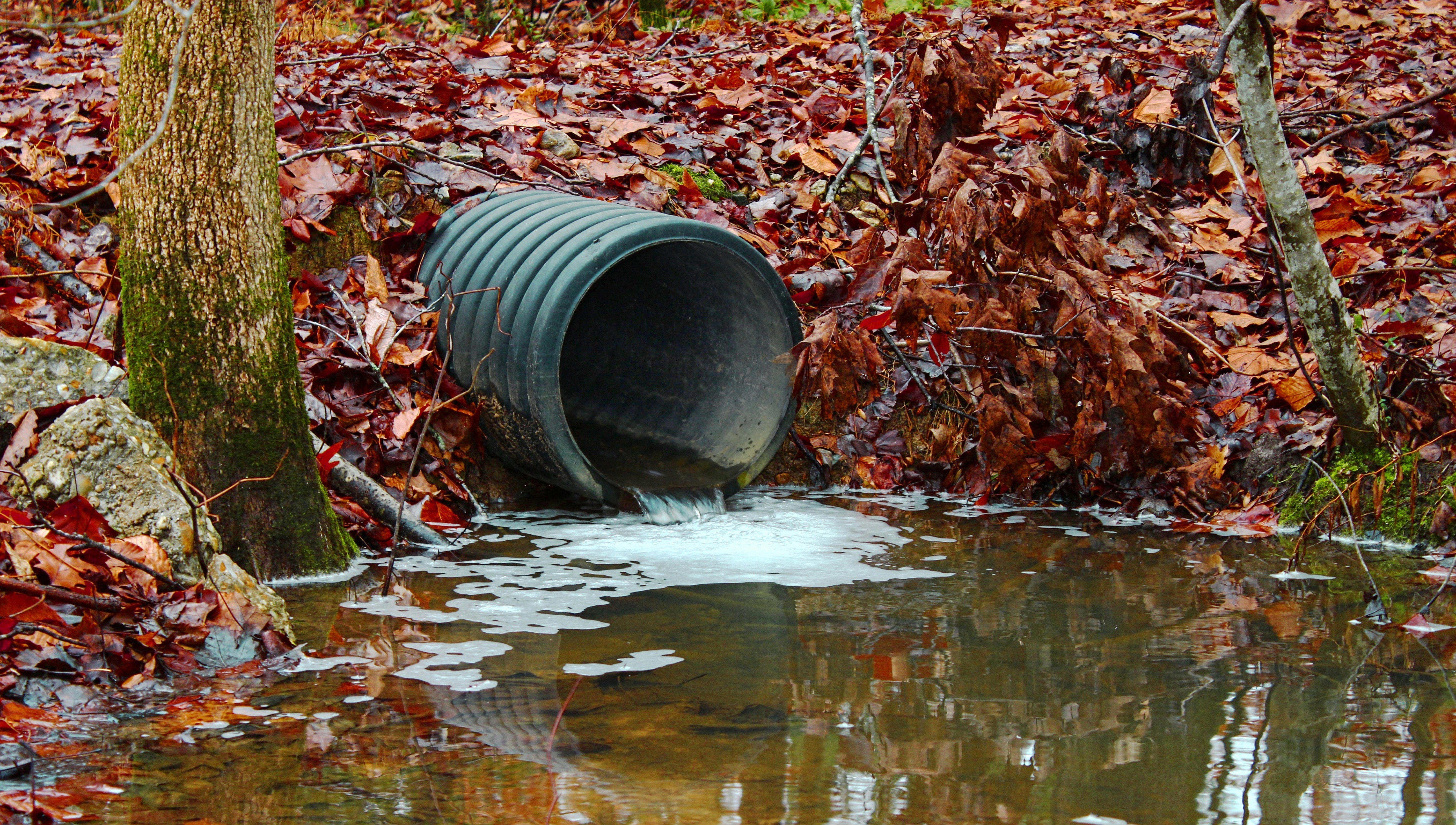 a-waste-water-drainage-pipe-redirecting-water-and-polluting-the-environment-as-well_5625-x-3187-px