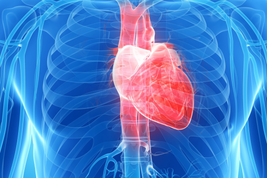 little-card-transplant