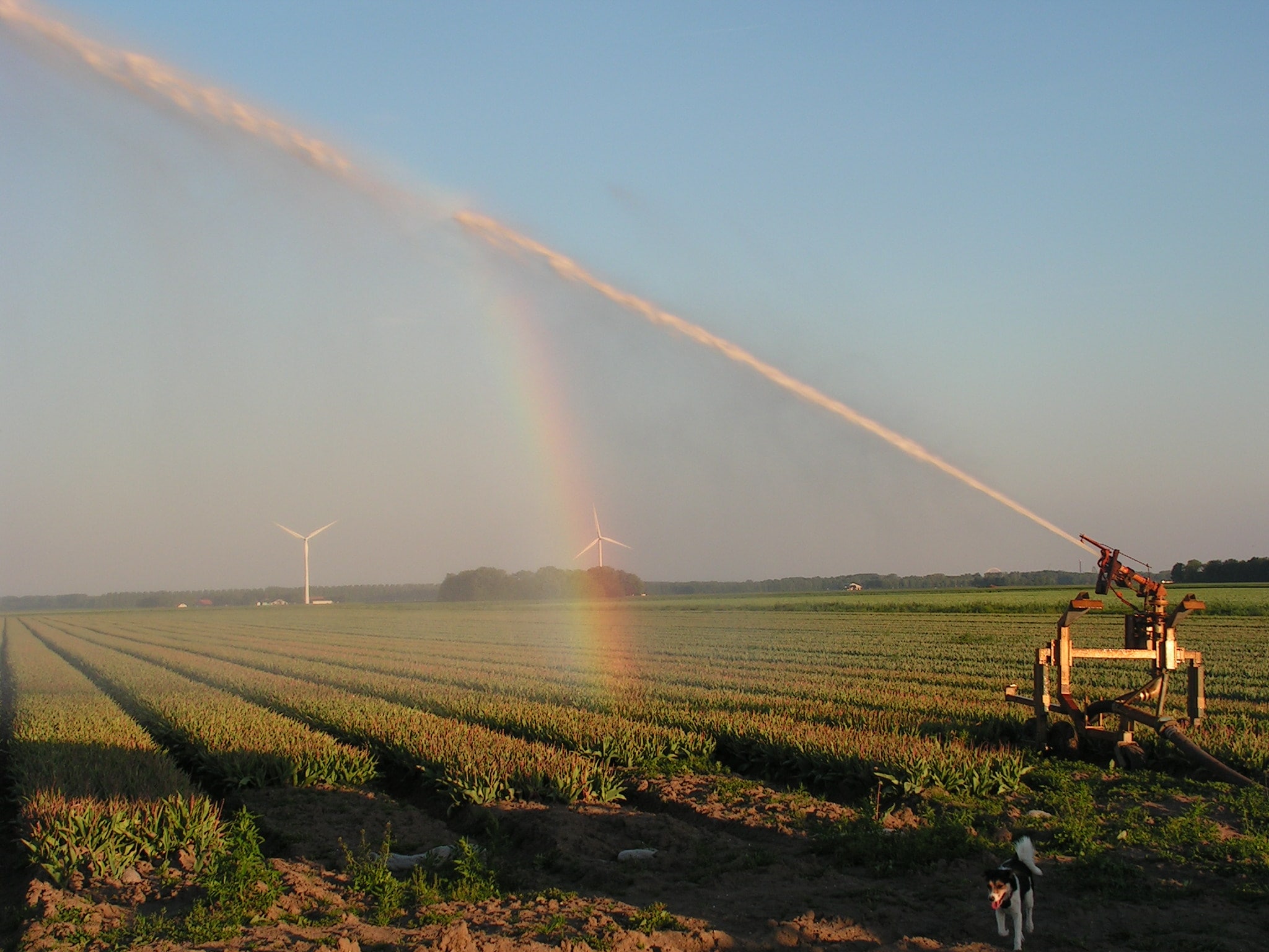 agro-irrigation-bulbs-rainbow-windmills