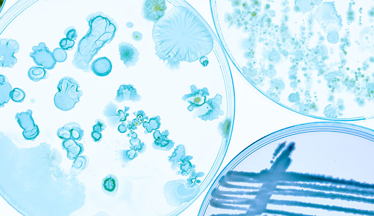 microbiology2_760x440px