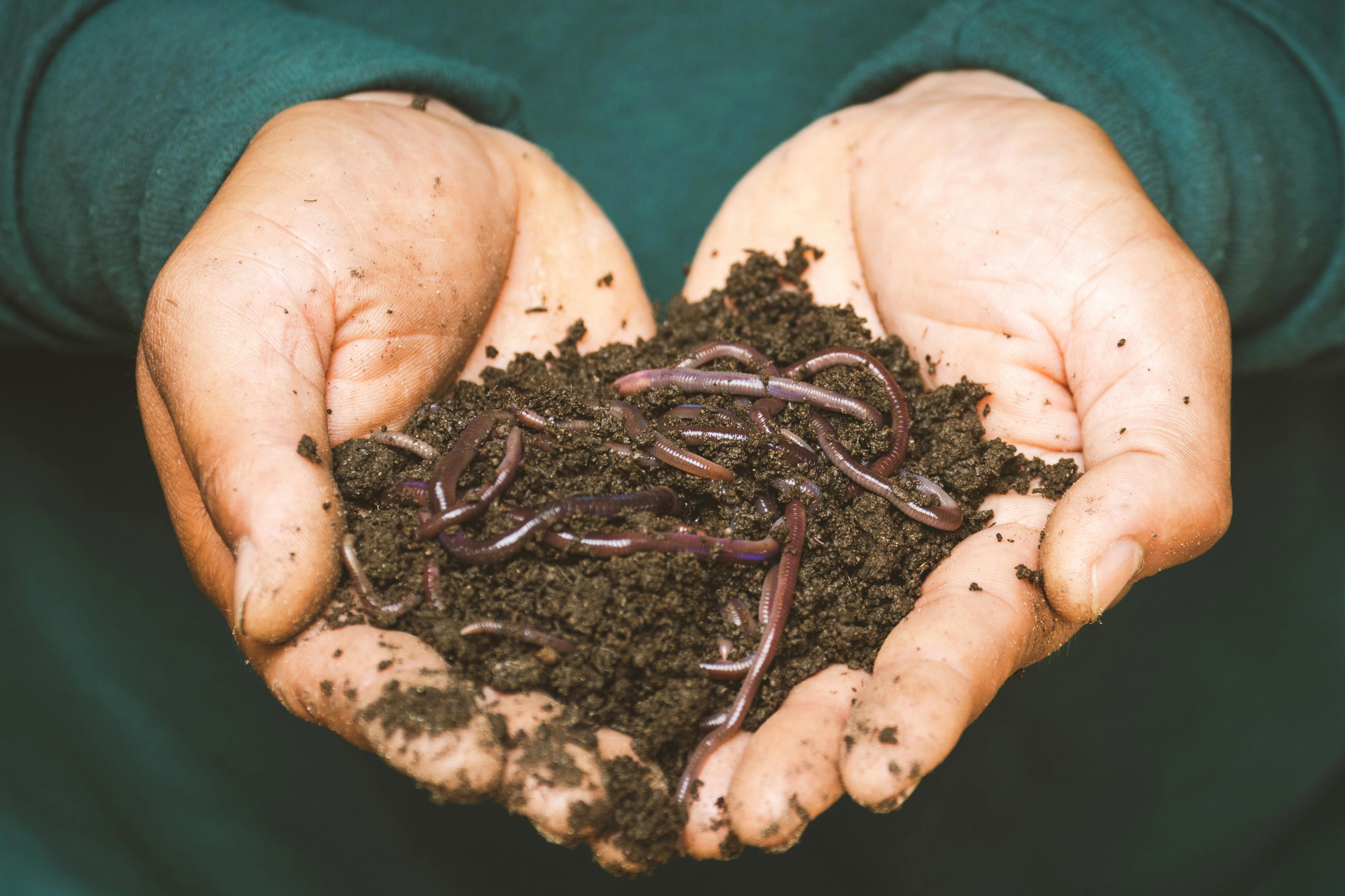 sippakorn-yamkasikorn-6v9w4zr2tje-unsplash