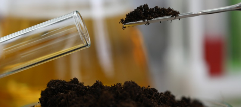 agro-petridish-soil-spatel800x357