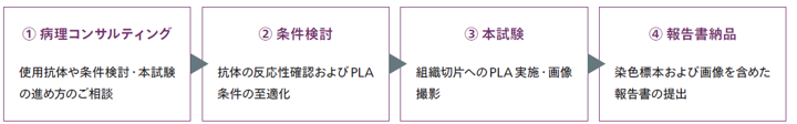 サービスの流れ