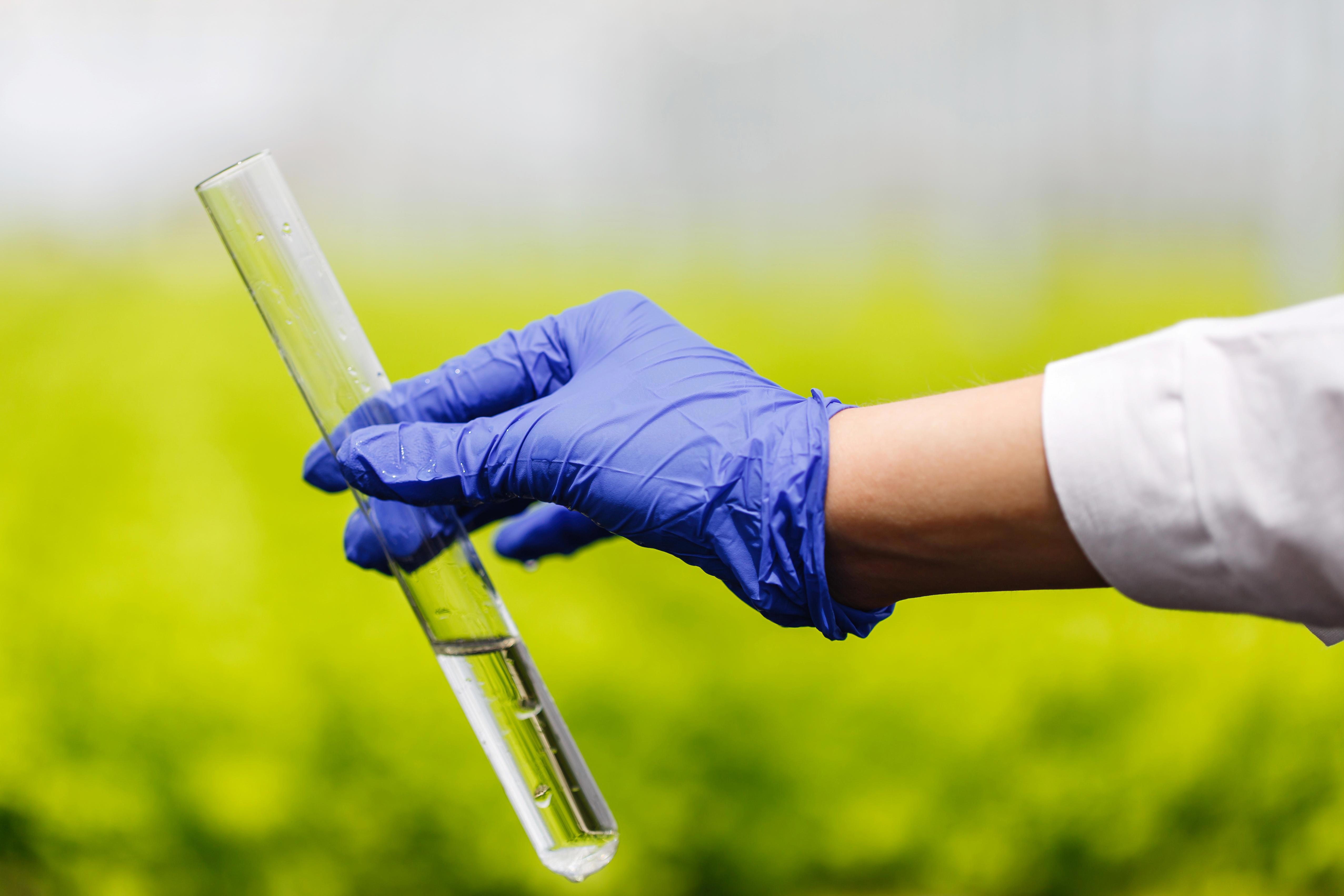 researcher-holds-test-tube-with-water-hand-blue-glove