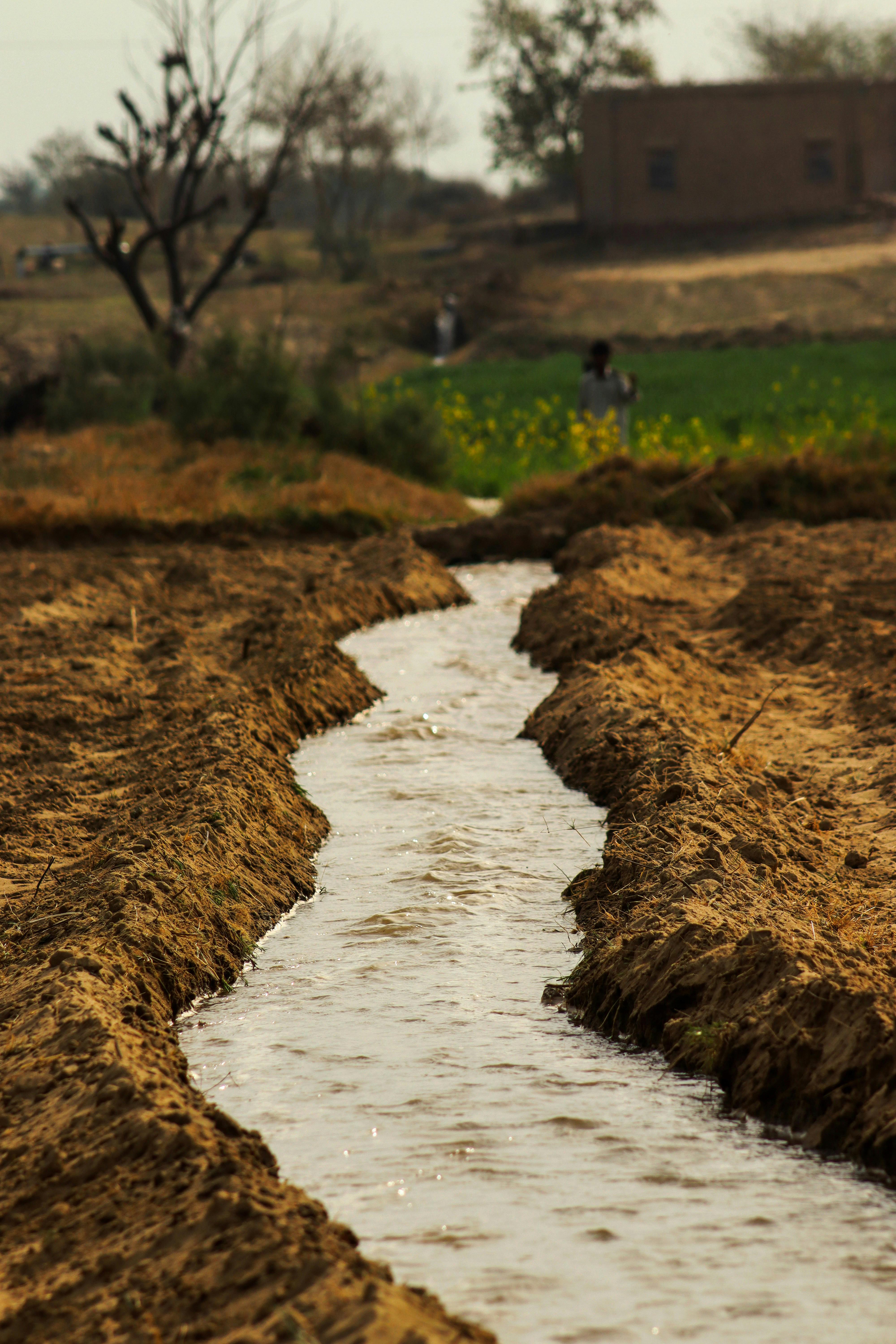 anees-ur-rehman-ivgw3gtbkao-unsplash