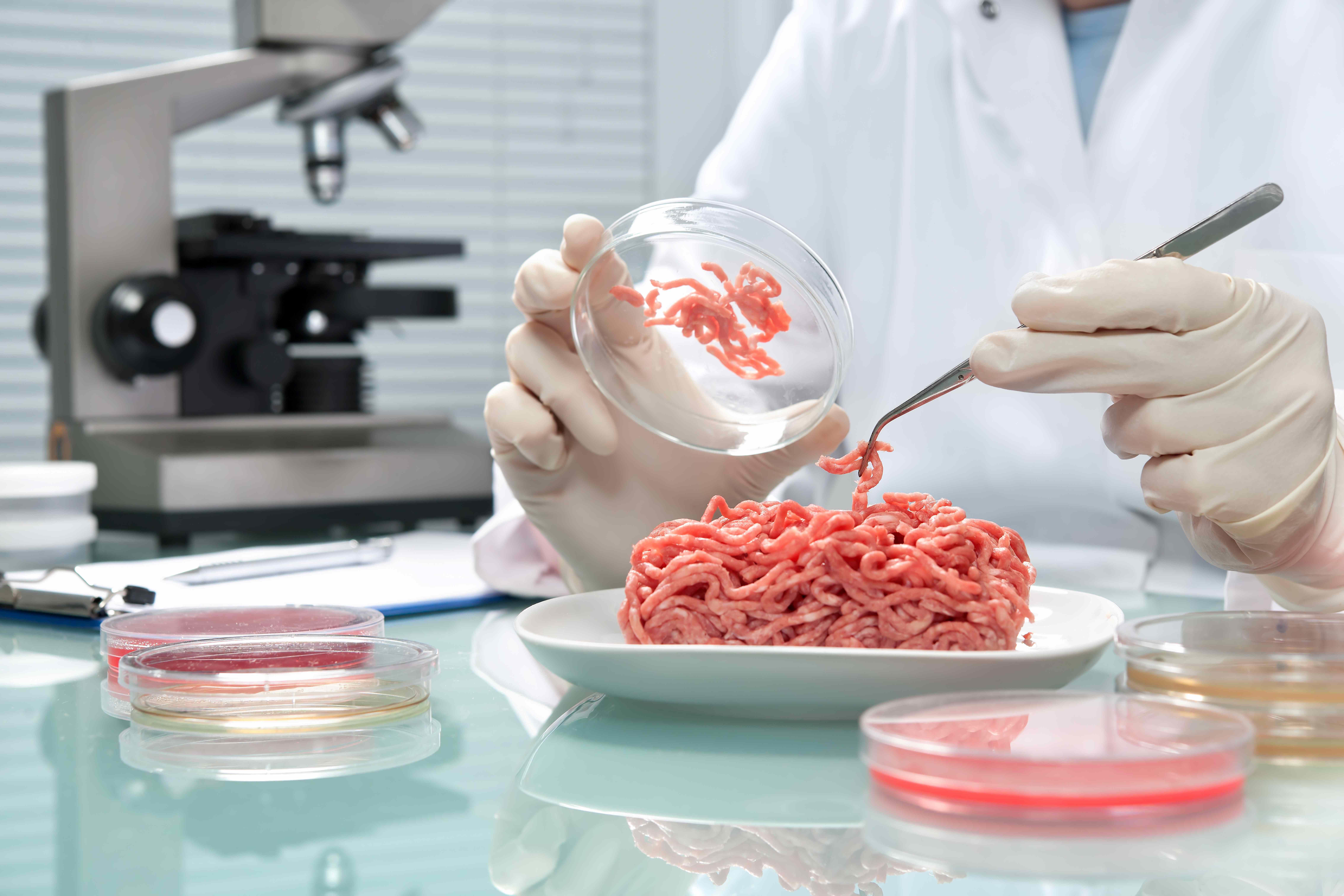 food-quality-control-expert-inspecting-at-meat-specimen-in-the-laboratory-xl_9072x6048px (3)