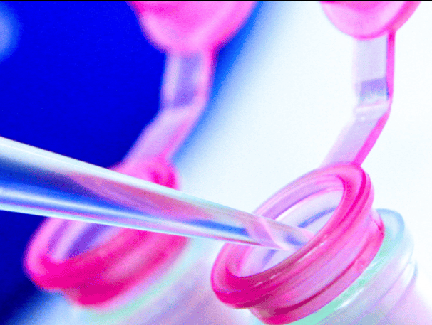microbiome-profiling-1 (1)