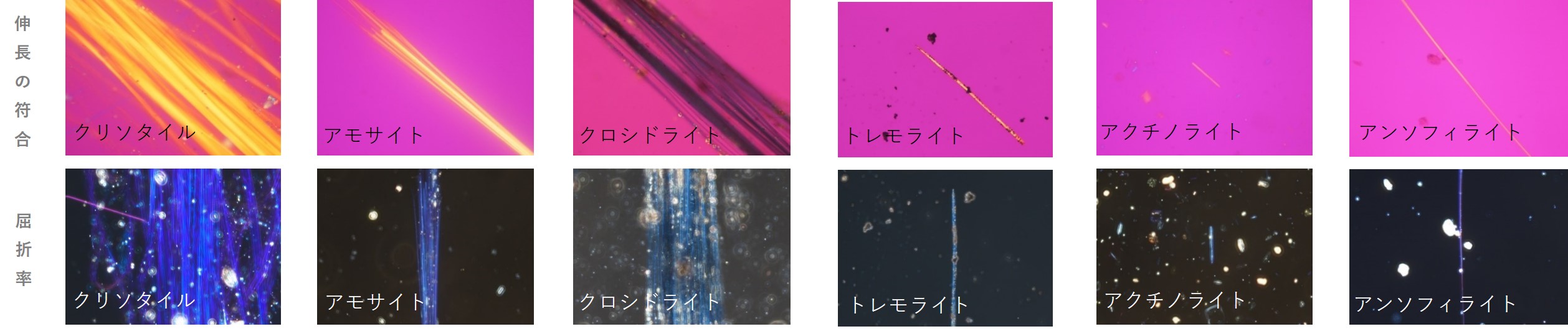 アスベストの偏光顕微鏡観察例