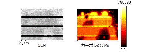 配線パターンのSEM像と炭素元素マップ
