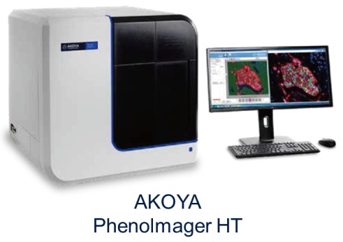 AKOYA Phenolmager HT