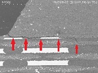 断面研磨後のSEM観察