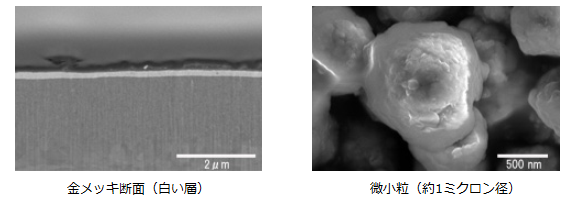 高分解能観察