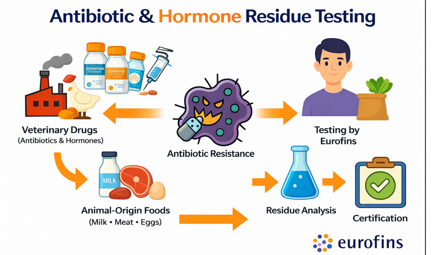 antibiotic-hormone-residue-testing