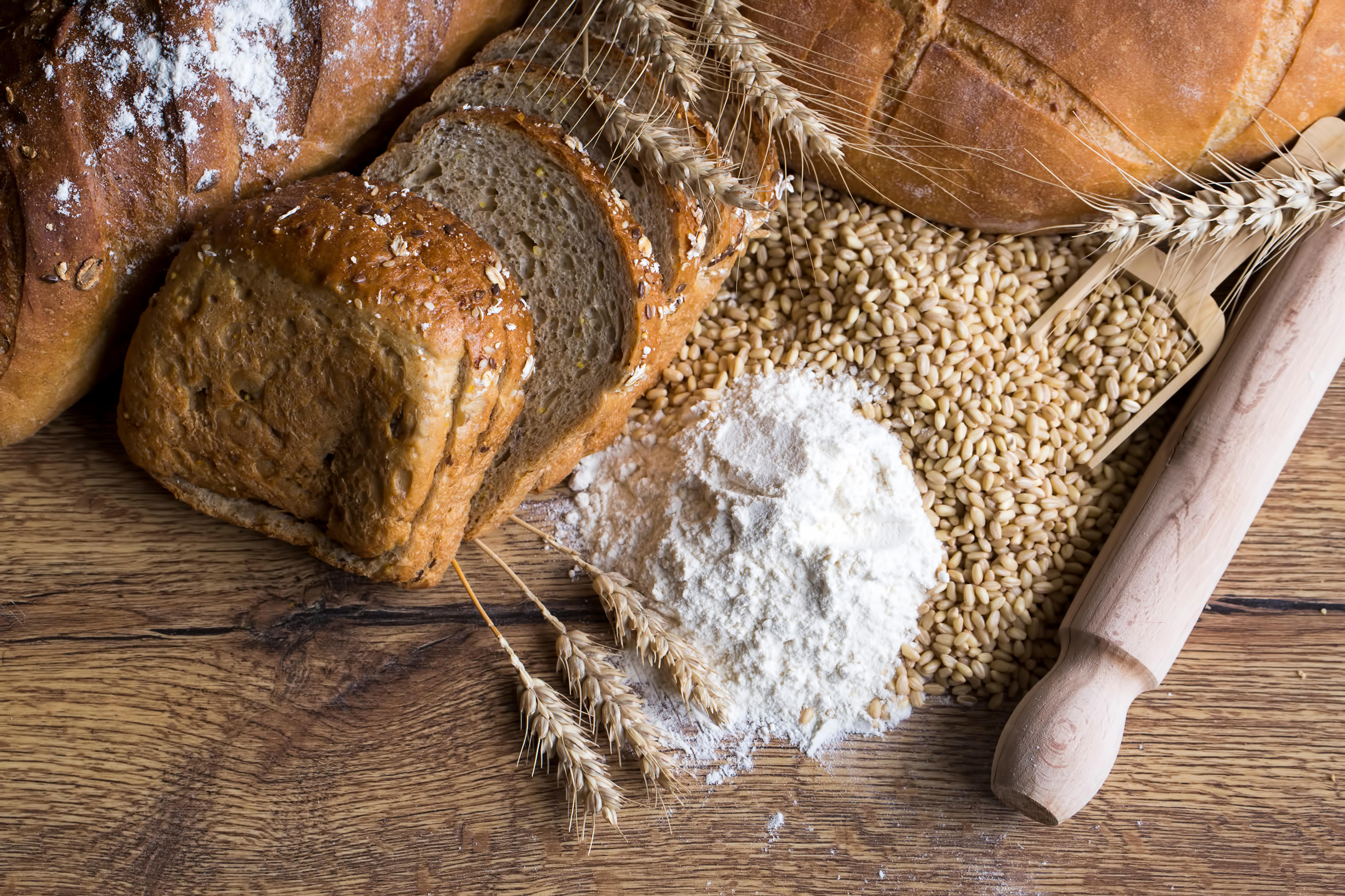 breads-card