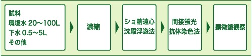 クリプトスポリジウム検査の分析フロー図