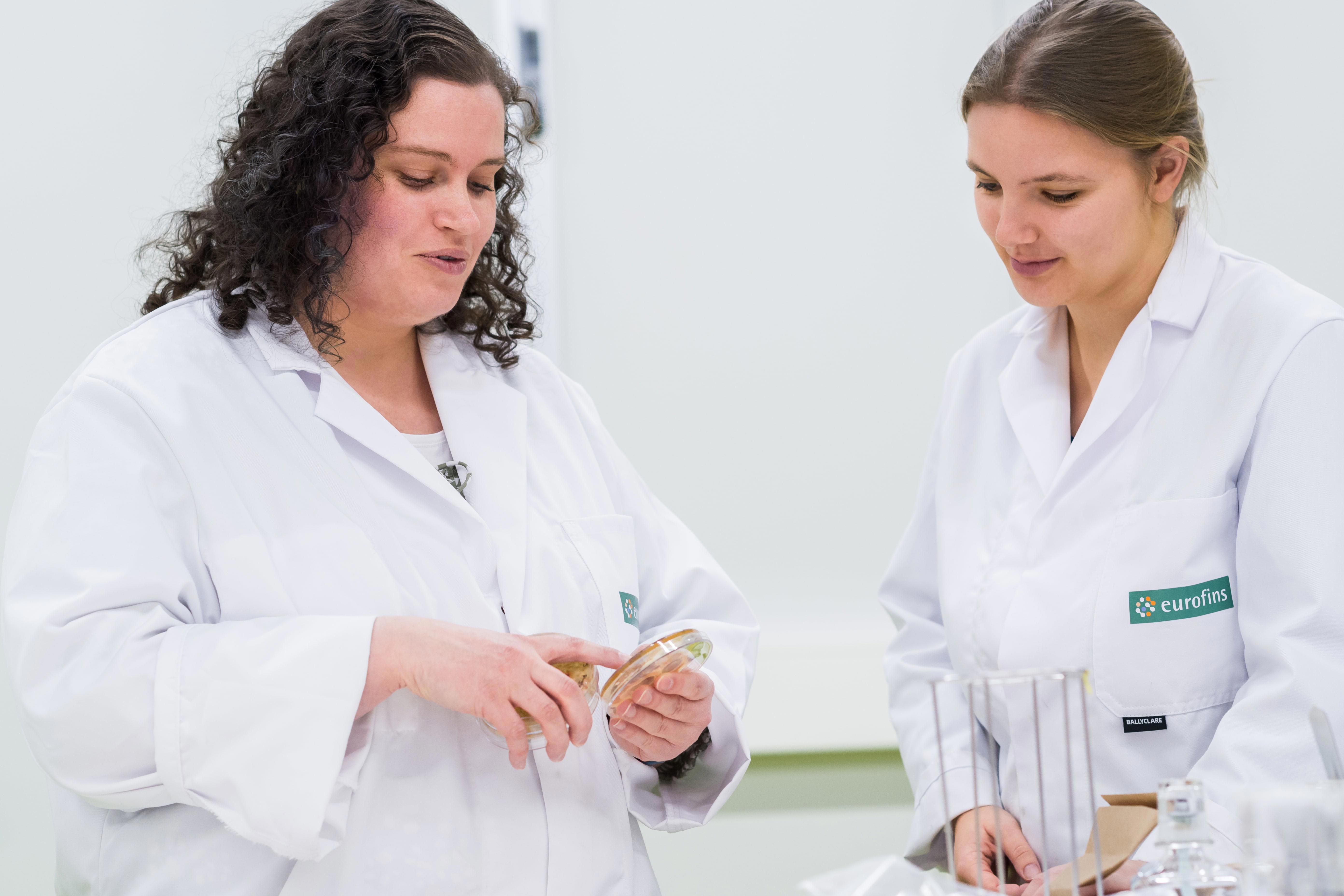 agro-plantdocters-2-petri-dish