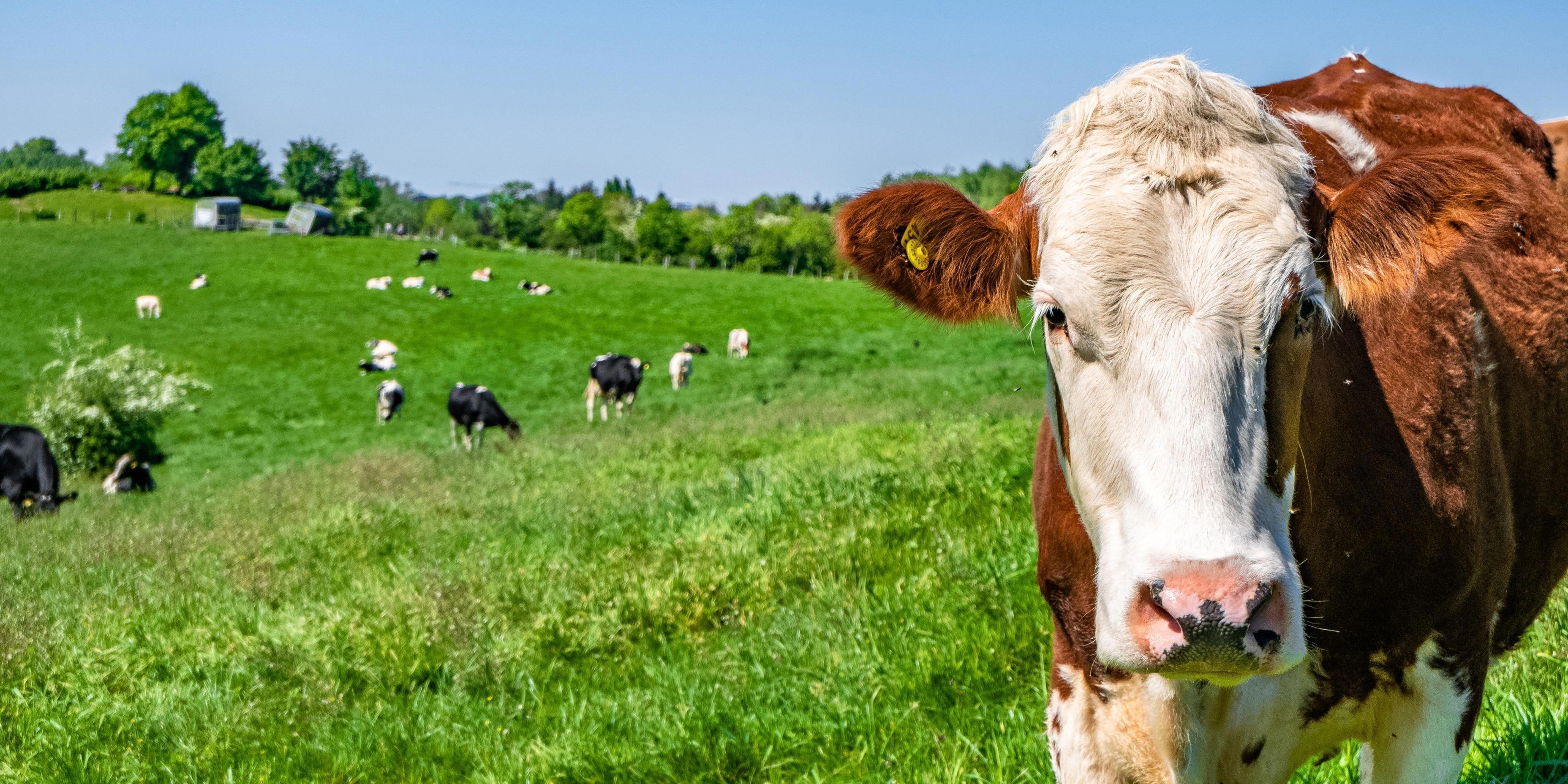 agro-testing_195517694_xl_compressed_cropped