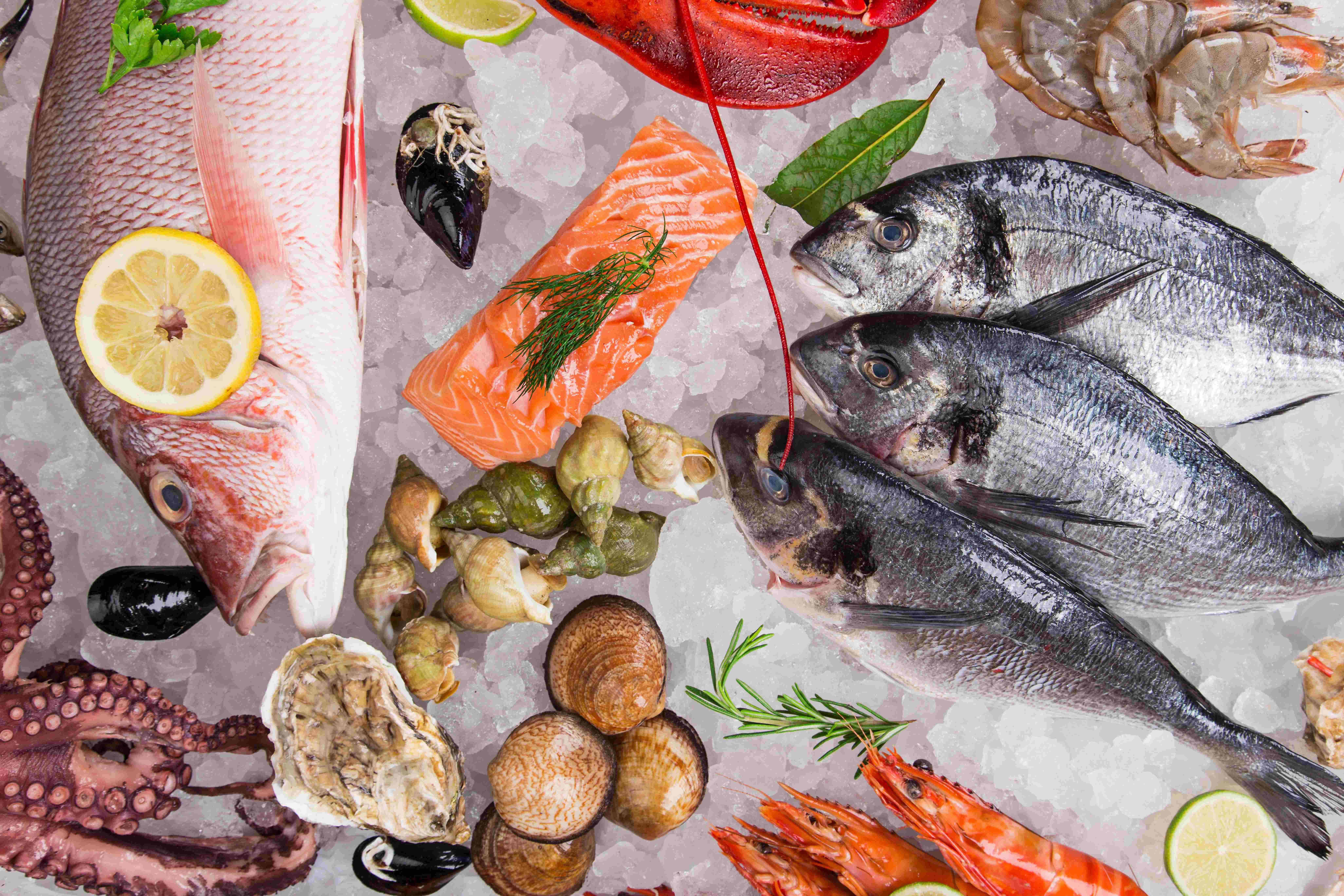 fresh-tasty-seafood-served-on-crushed-ice_8208-x-5472px