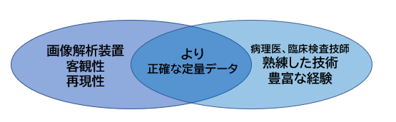 病理画像解析イメージ図