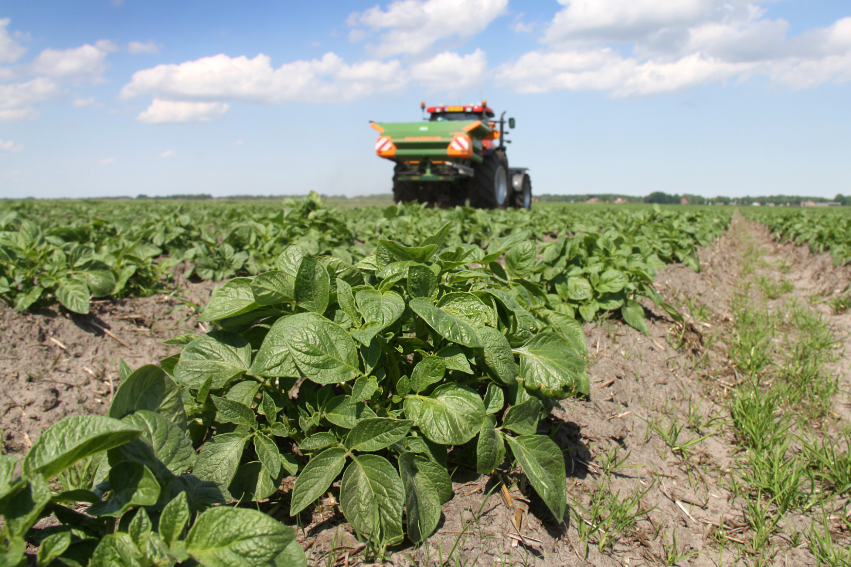 agro-tractor_potato_field_fertilising