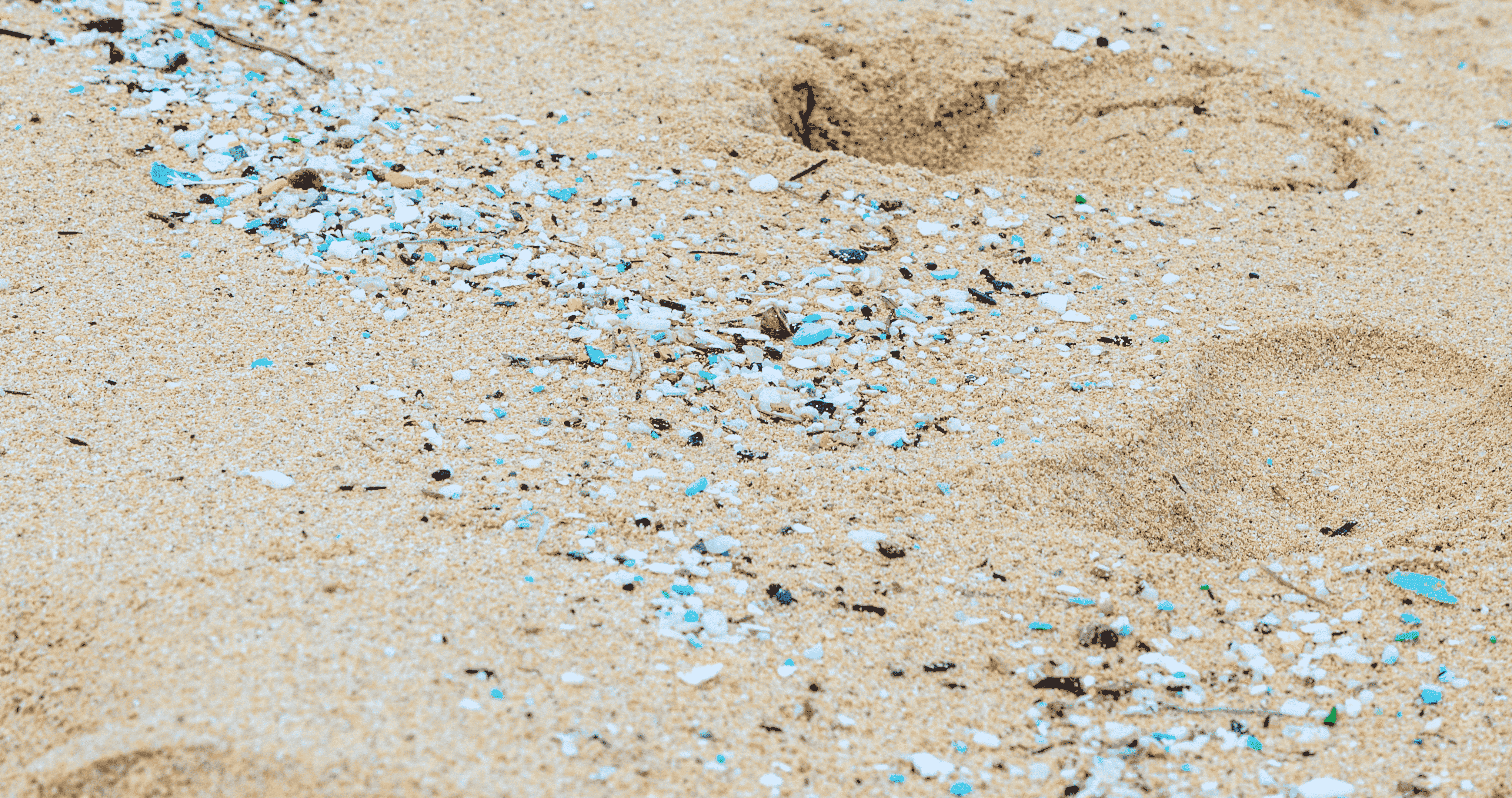 microplastic_new