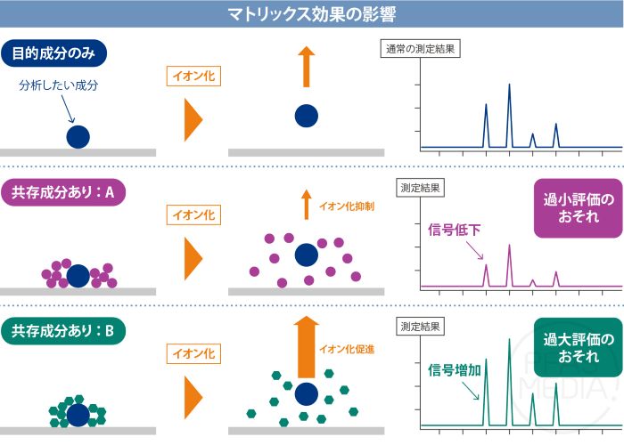 マトリックス効果の影響