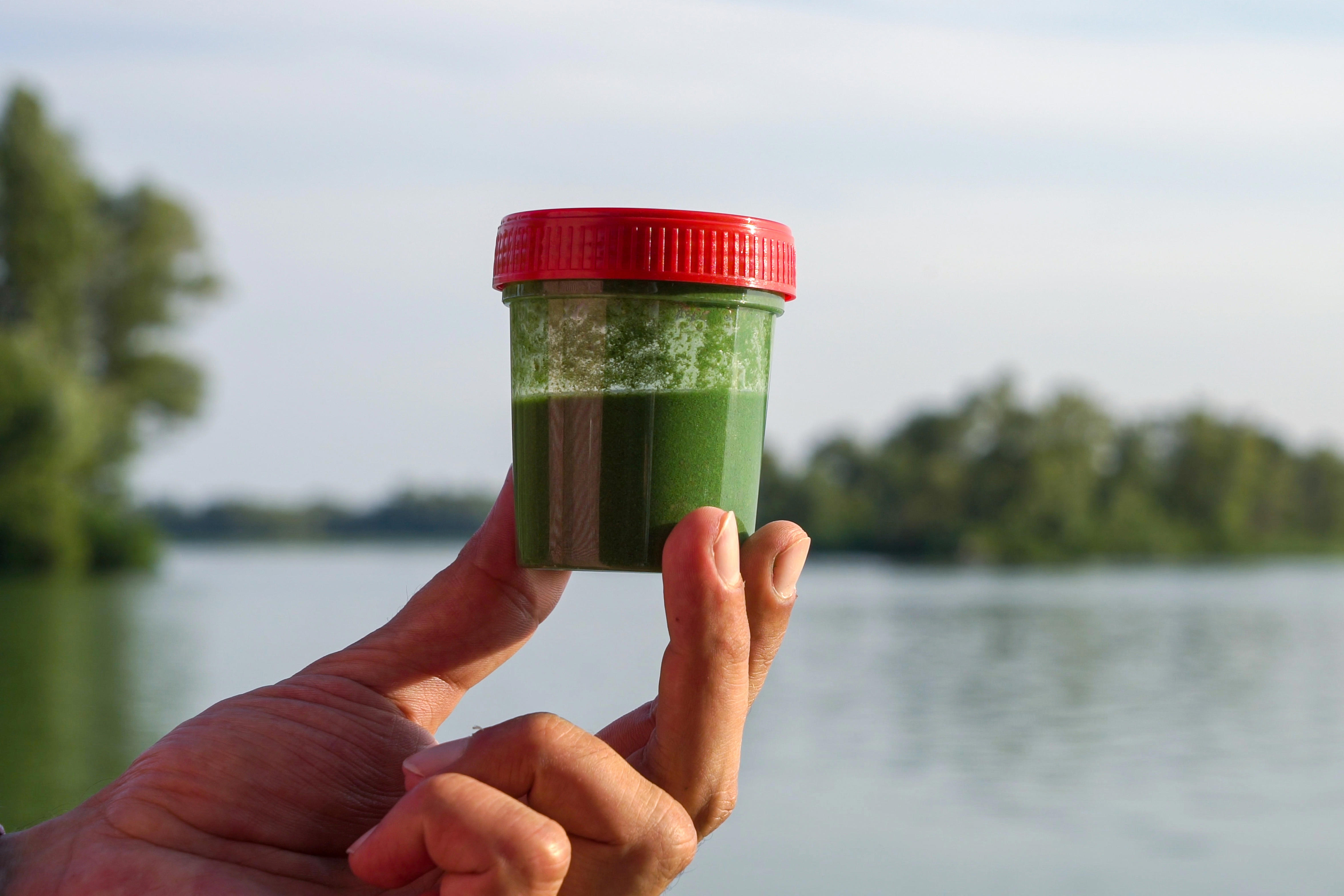 closeup-fingers-holding-green-algae-sample-with-blurred-river-on-background_4704-x-3136px