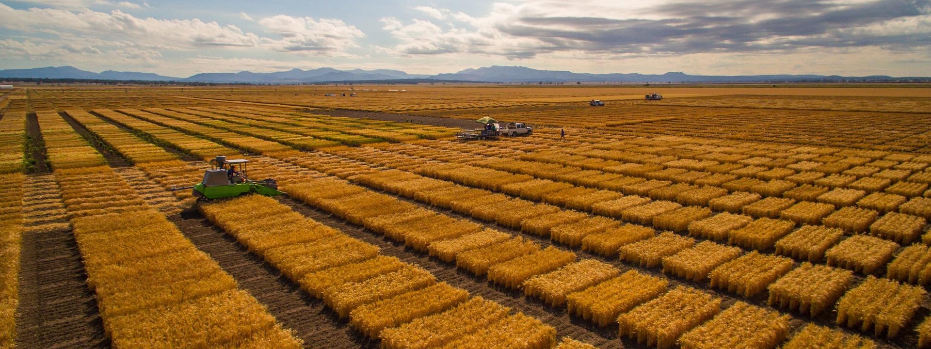 dji_0001_1920x720