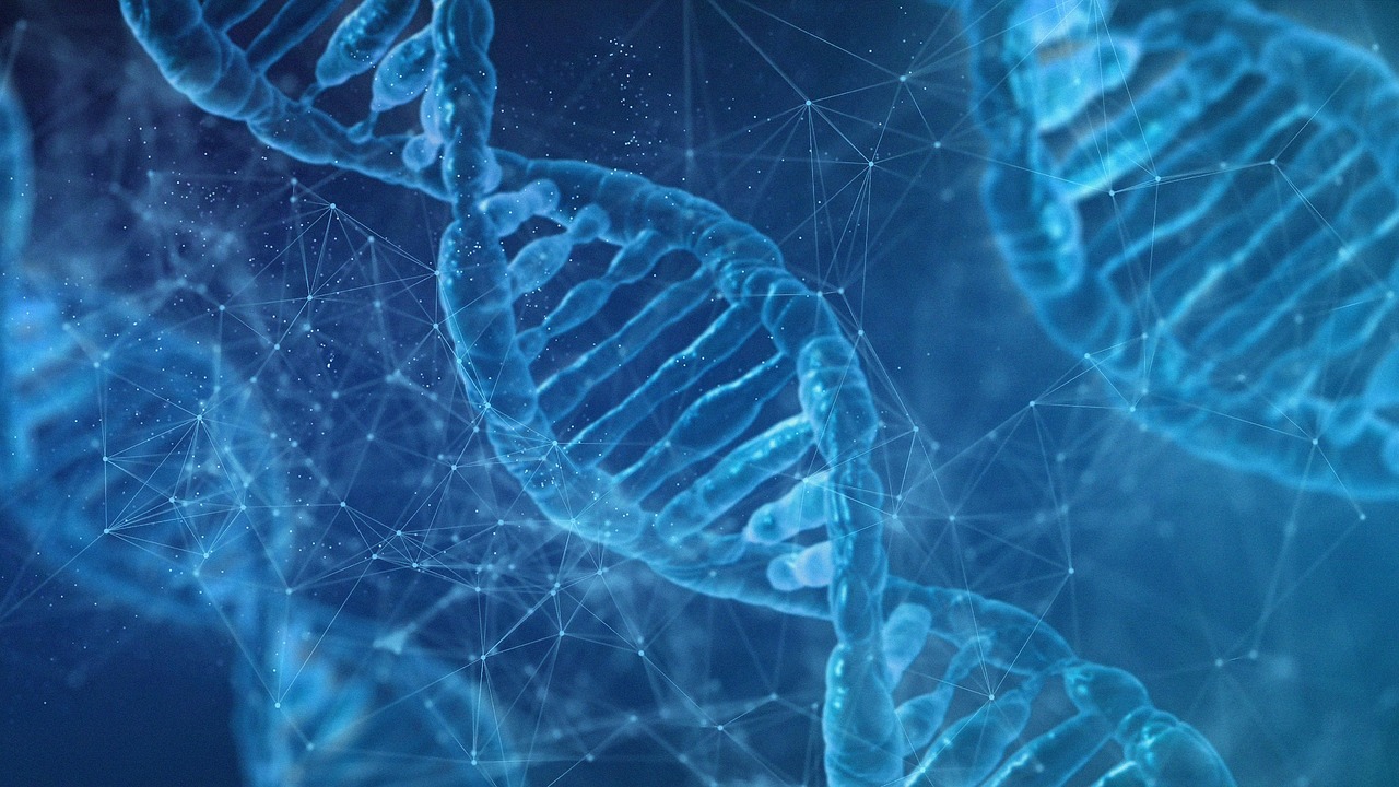 agro-dna-blue-string