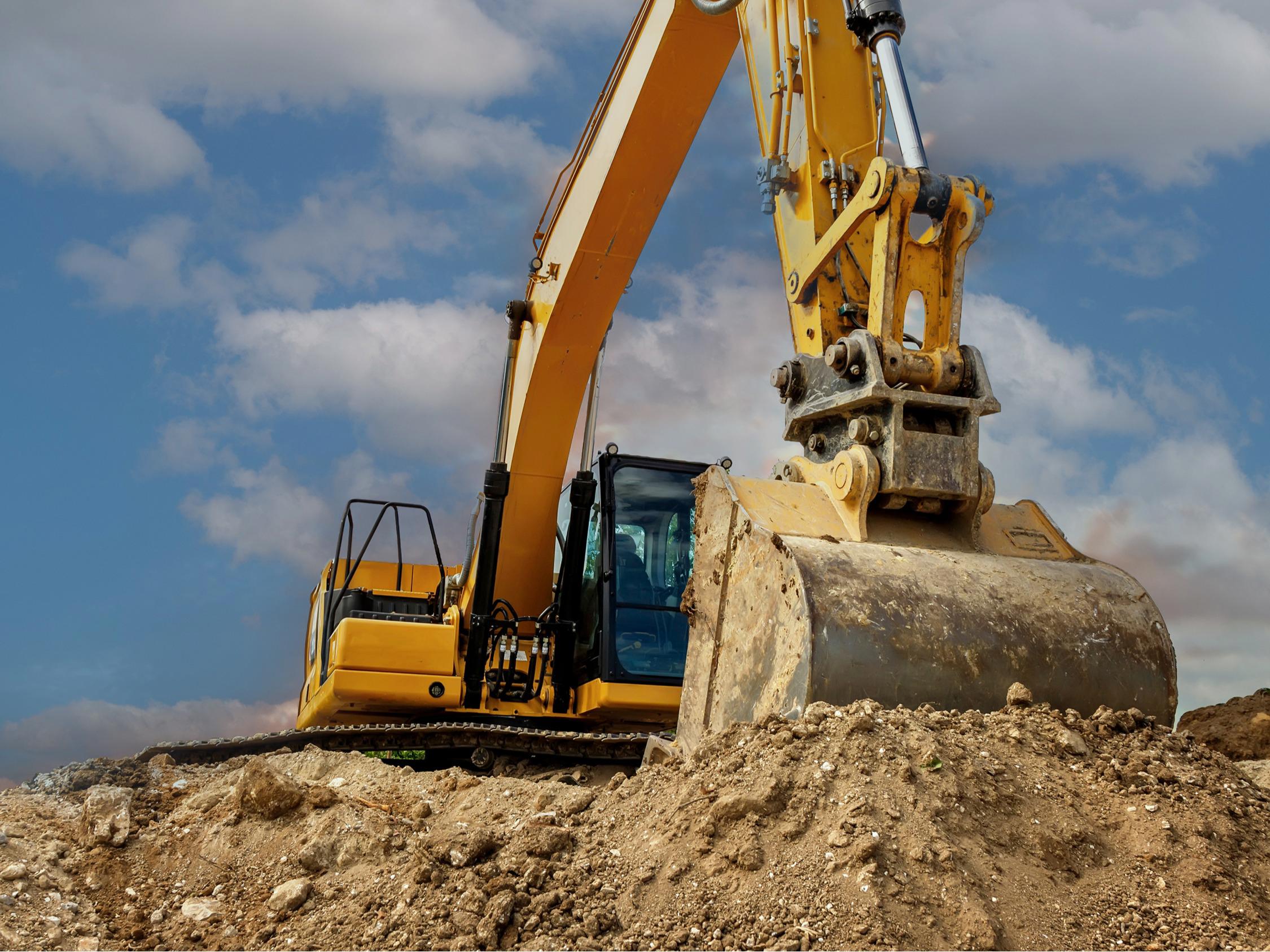 192049896_xl_bear01 (1)