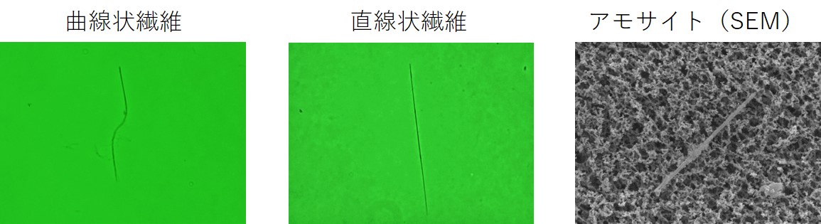 アスベストの位相差顕微鏡・SEM観察例