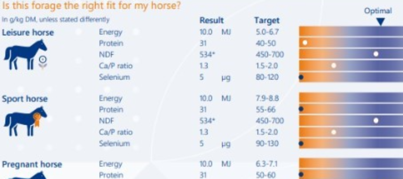 agro-equifeed-rap800x357