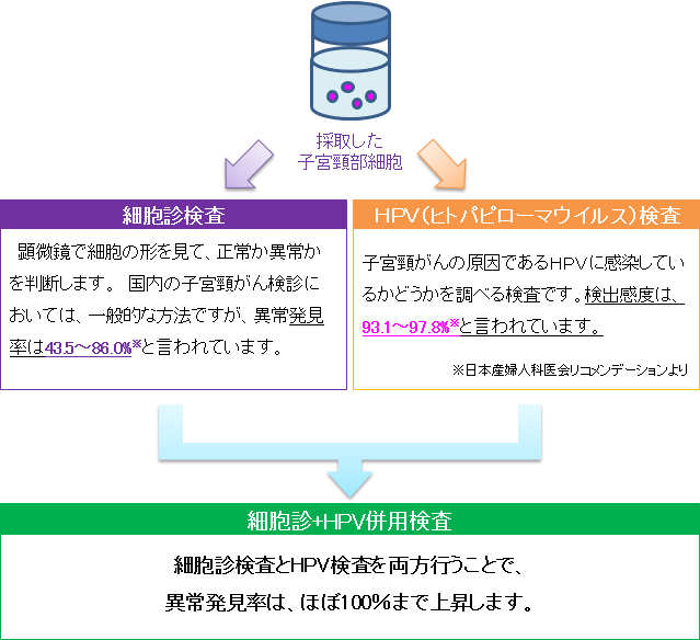 検査方法概要（細胞診検査・HPV検査）