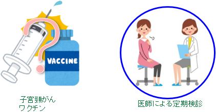 子宮頸がんワクチンと定期健診