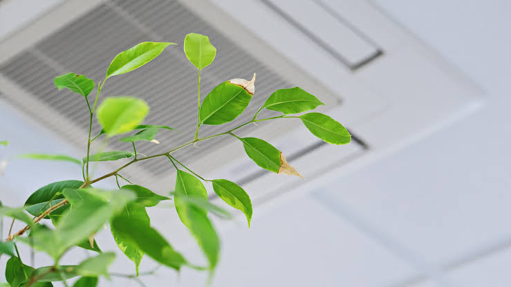 images-2