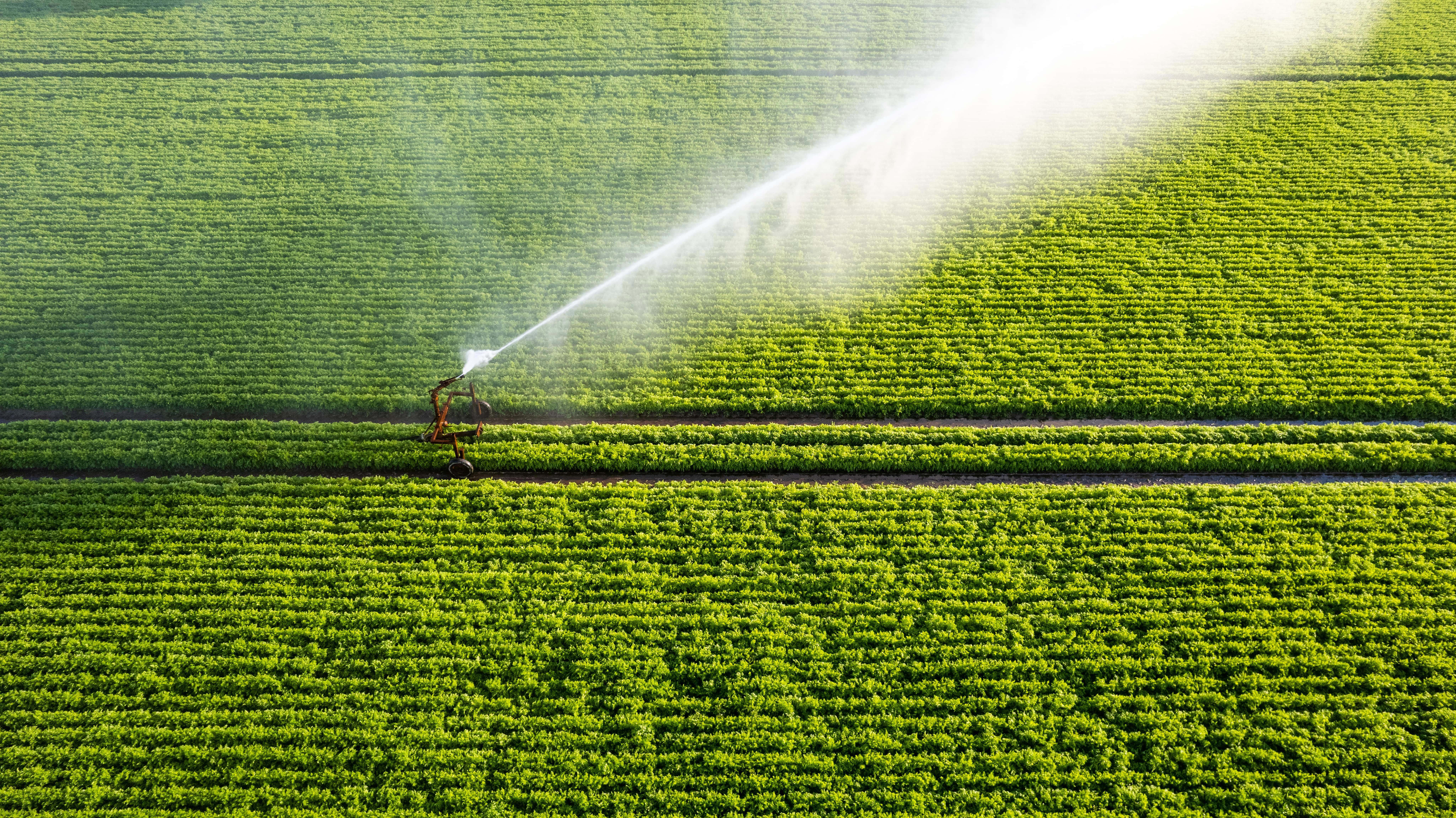 agro-irrigation-field-min