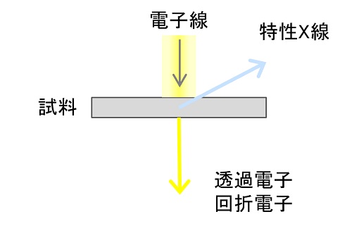 透過型電子顕微鏡(TEM)