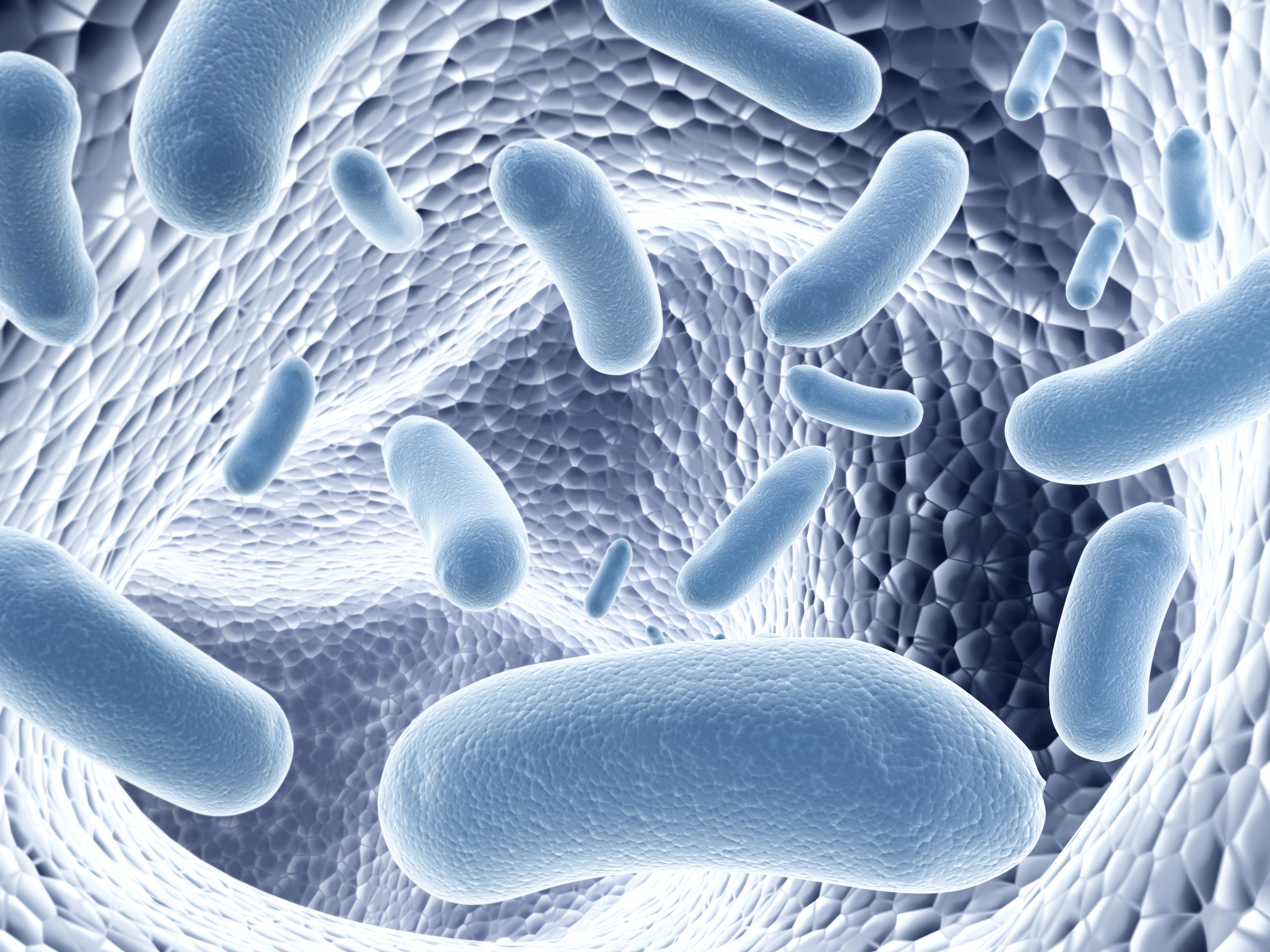 livebiotherapeutic_microbiome