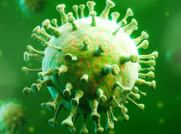 metagenomics-01-1 (1)
