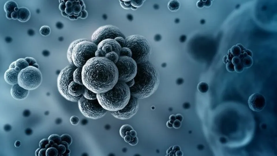 what-are-volatile-organic-compounds-and-how-to-remove-them