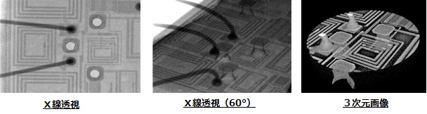 3次元構造を透視観察