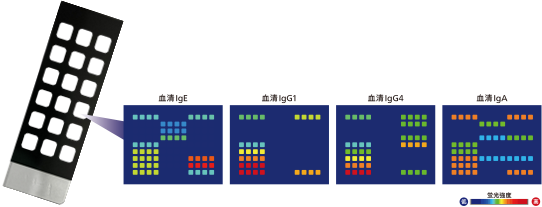 蛍光免疫測定法(FIA)の図